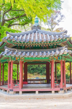 Seul 'deki Changdeokgung Sarayı' nda Güzel ve Eski Mimarlık 