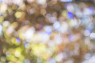 bokeh için arka plan ışık