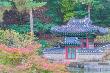 Seul 'deki Changdeokgung Sarayı' nda Güzel ve Eski Mimarlık 