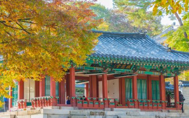 Seul 'deki Changdeokgung Sarayı' nda Güzel ve Eski Mimarlık 