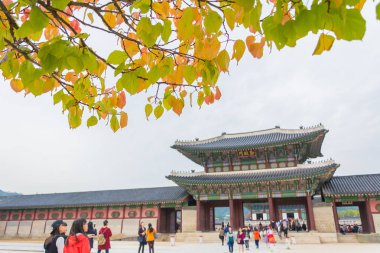 Seoul, Güney Kore - 2015 26 Ekim: turistler toplamak dışında
