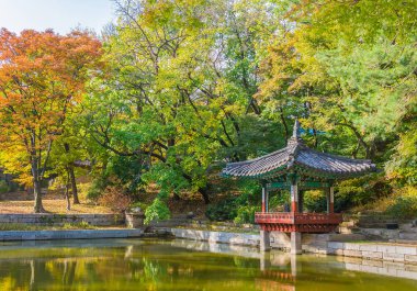 Seul 'deki Changdeokgung Sarayı' nda Güzel ve Eski Mimarlık 
