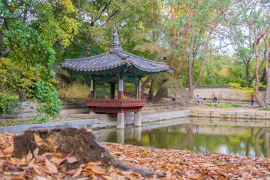 Seul 'deki Changdeokgung Sarayı' nda Güzel ve Eski Mimarlık 