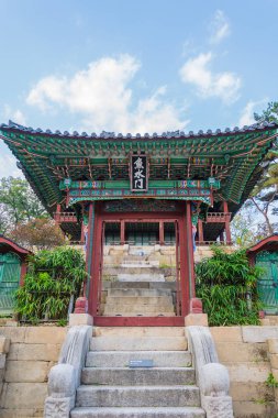 Seul 'deki Changdeokgung Sarayı' nda Güzel ve Eski Mimarlık 