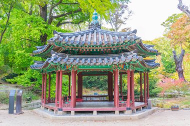 Seul 'deki Changdeokgung Sarayı' nda Güzel ve Eski Mimarlık 