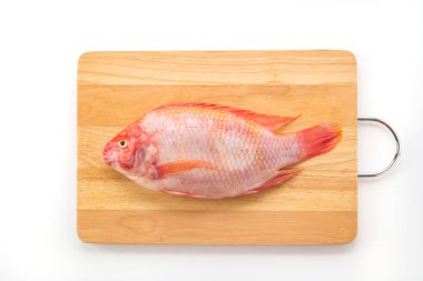 Beyaz arkaplanda Kırmızı Tilapia