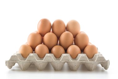 Beyaz arka plan üzerinde tavuk yumurta