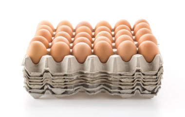 Beyaz arka plan üzerinde tavuk yumurta