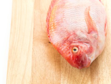 Beyaz arkaplanda Kırmızı Tilapia