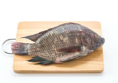 Siyah tilapia veya Tilapia