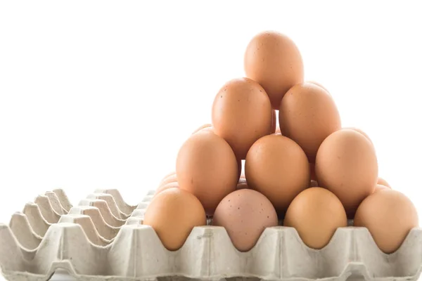 Huevos de gallina sobre fondo blanco —  Fotos de Stock