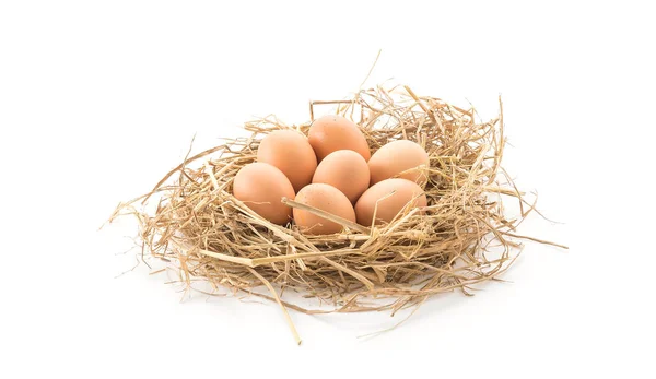 Huevos de gallina sobre fondo blanco —  Fotos de Stock