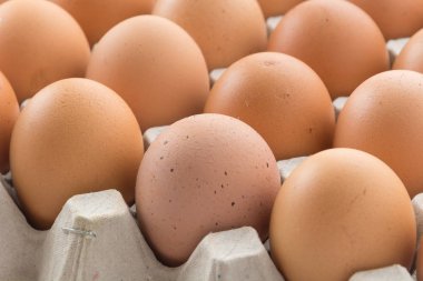 Beyaz zemin üzerinde paneli olan tavuk yumurtaları