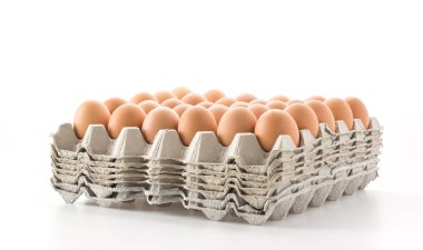 Beyaz arka plan üzerinde tavuk yumurta