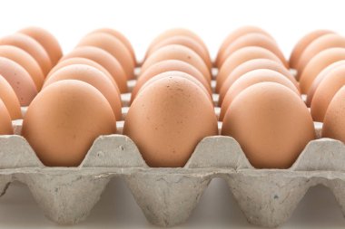 Beyaz zemin üzerinde paneli olan tavuk yumurtaları