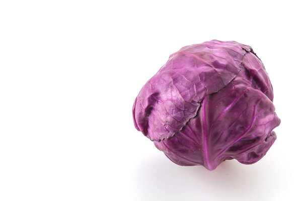 Purple cabbage on white background