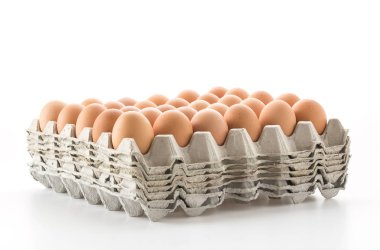 Beyaz arka plan üzerinde tavuk yumurta