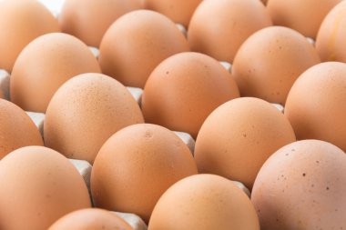 Beyaz zemin üzerinde paneli olan tavuk yumurtaları