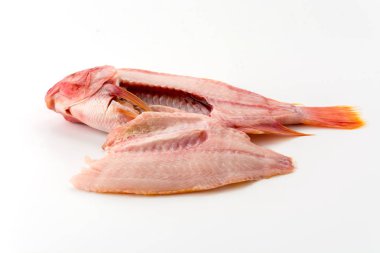 beyaz arkaplanda tilapia ham