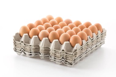 Beyaz arka plan üzerinde tavuk yumurta