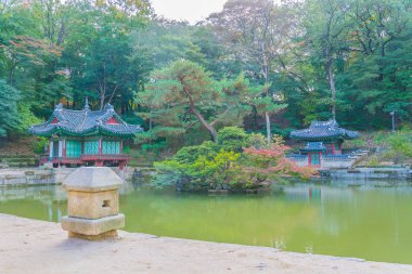 Seul 'deki Changdeokgung Sarayı' nda Güzel ve Eski Mimarlık 