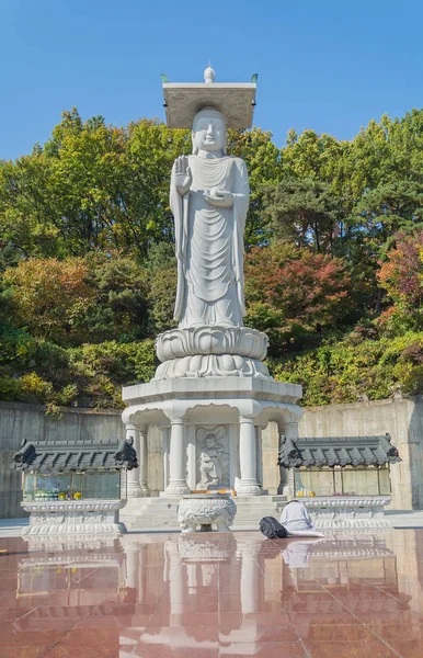 Bongeunsa templo en la ciudad de Seúl en Corea —  Fotos de Stock