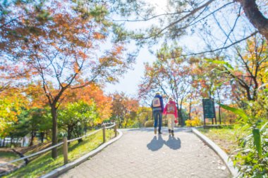 kaldırım ile soyut bulanıklık akçaağaç