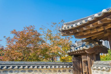 Namsangol Hanok Köyü Seoul Korea, güzel mimari