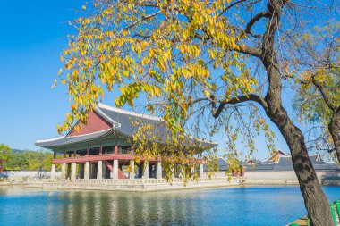 Gyeongbokgung Sarayı Seoul city, güzel mimari 