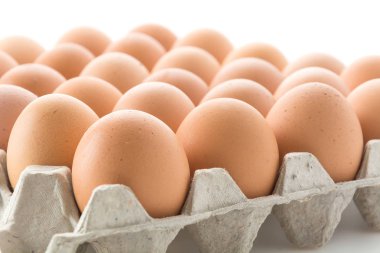 tavuk yumurta beyaz arka plan üzerinde paneli ile