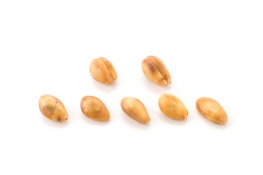 Beyaz arkaplanda taze zalacca