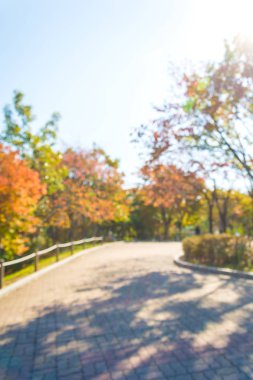 kaldırım ile soyut bulanıklık akçaağaç