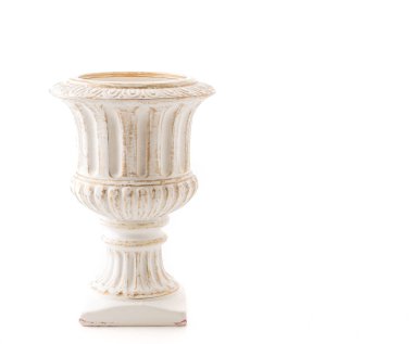 saksıyı beyaz zemin üzerine