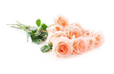 Beyaz arka plan üzerinde Mercan gül