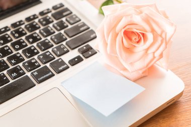 Mercan kağıt Not ile gül 