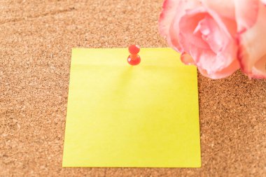 Gül ile kağıt Not 