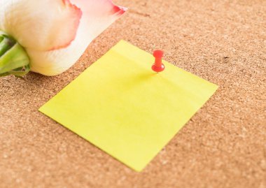 Gül ile kağıt Not 