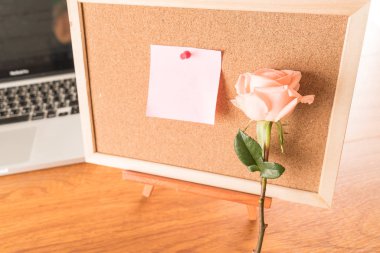 Gül ile kağıt Not 