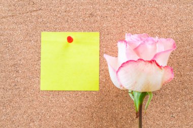 Gül ile kağıt Not 