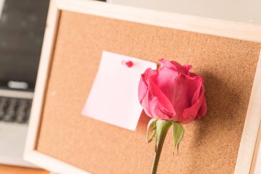 Gül ile kağıt Not 