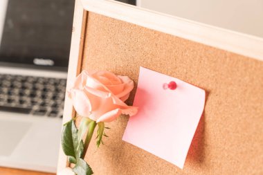 Gül ile kağıt Not 