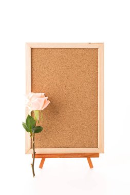 rose ile sanat kurulu