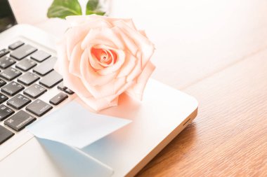 Mercan kağıt Not ile gül 