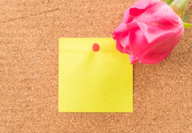 Gül ile kağıt Not 