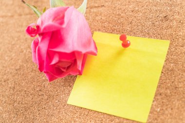 Gül ile kağıt Not 