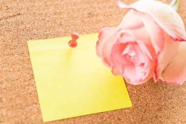 Gül ile kağıt Not 