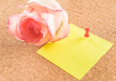 Gül ile kağıt Not 