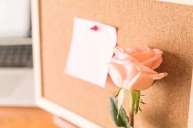 Gül ile kağıt Not 