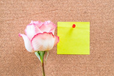 Gül ile kağıt Not 