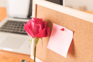 Gül ile kağıt Not 